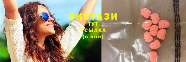амф Ельня