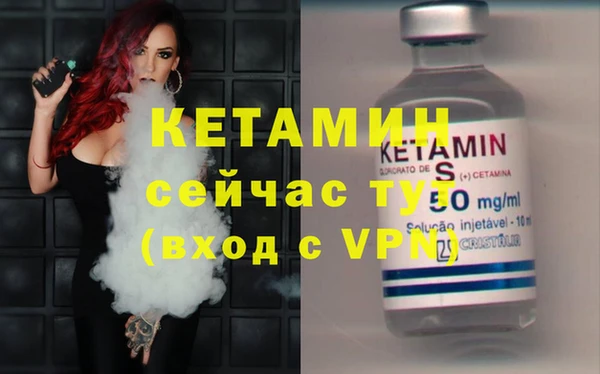 сатива Дмитровск