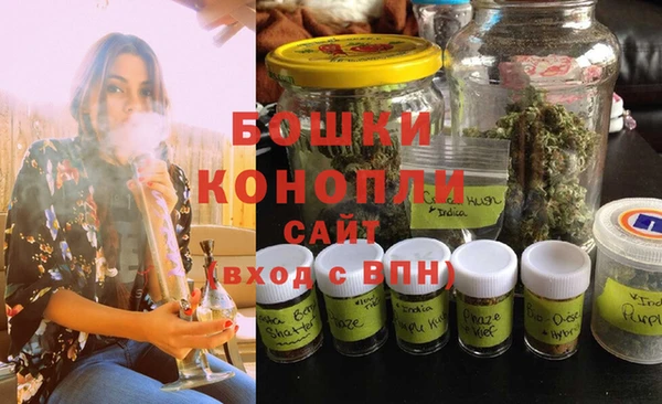 PSILOCYBIN Дмитриев