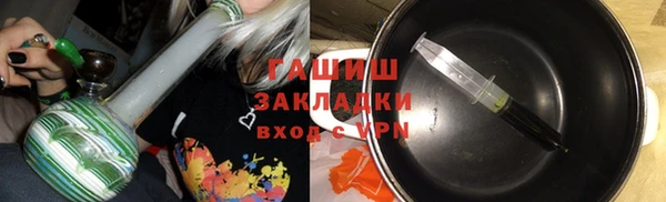 амф Ельня