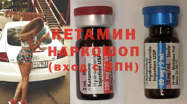 амф Ельня