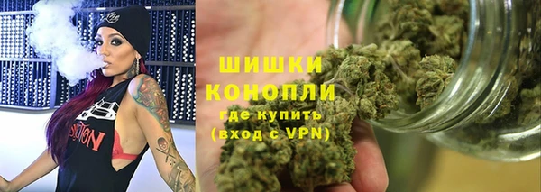 сатива Дмитровск