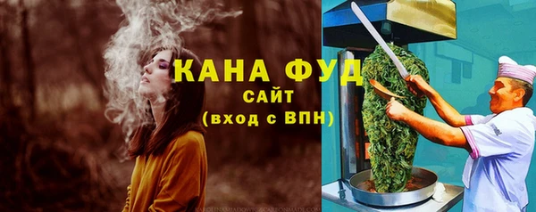 амф Ельня