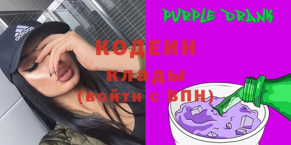 амф Ельня